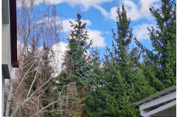 Einfamilienhaus mieten in 7323 Ritzing (Bild 5)