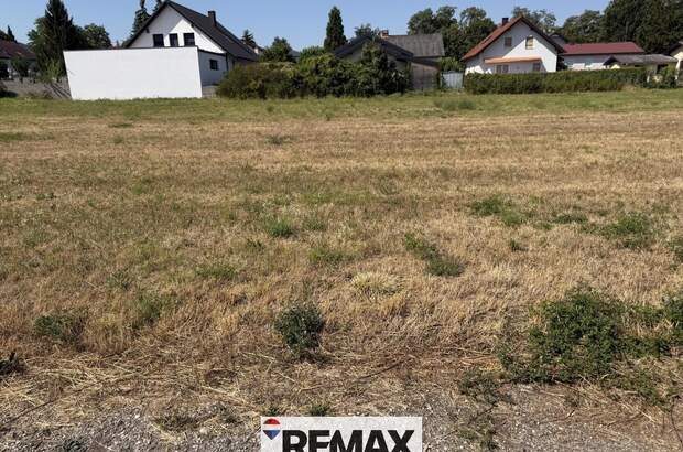 Grundstück kaufen in 3433 Königstetten (Bild 3)