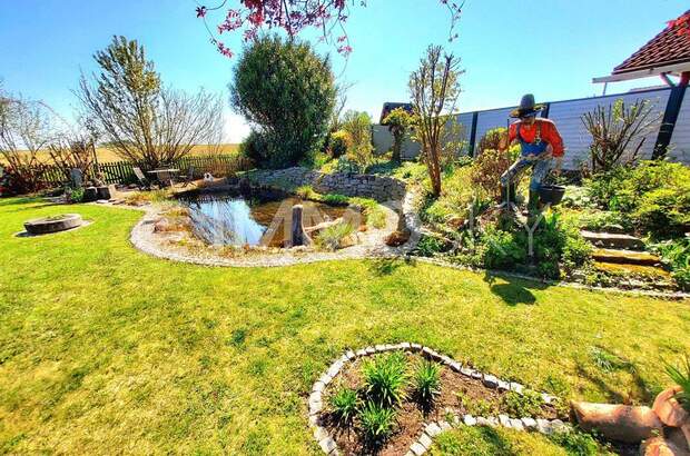 Einfamilienhaus kaufen in 4492 Hofkirchen (Bild 3)