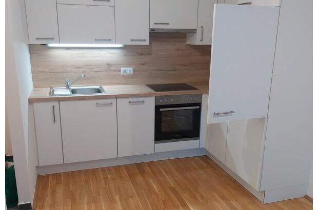 Terrassenwohnung mieten in 1100 Wien (Bild 2)