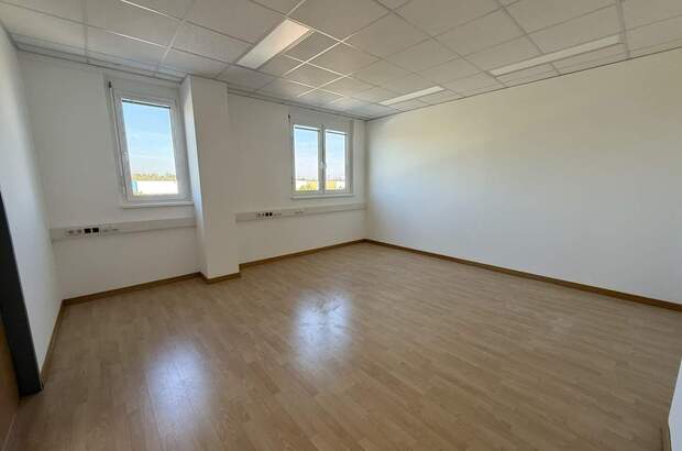 Büro / Praxis mieten in 2544 Leobersdorf (Bild 3)