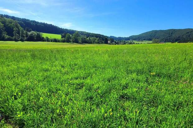 Grundstück kaufen in 8045 Weinitzen (Bild 3)