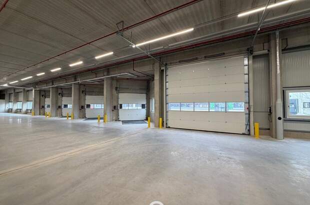 Gewerbeobjekt mieten in 4470 Enns (Bild 3)