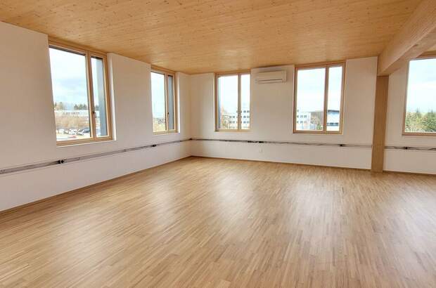 Gewerbeobjekt mieten in 4540 Bad Hall (Bild 5)