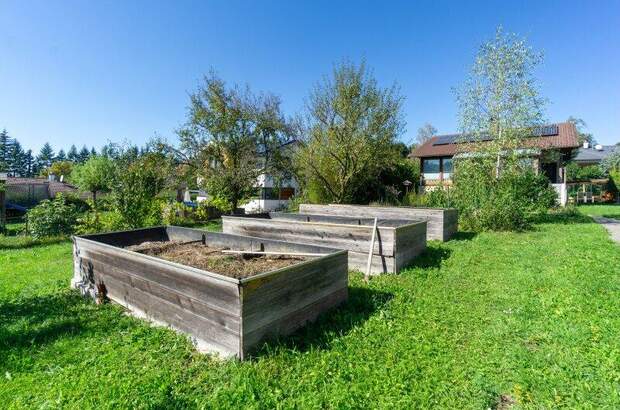 Haus kaufen in 3032 Eichgraben (Bild 3)