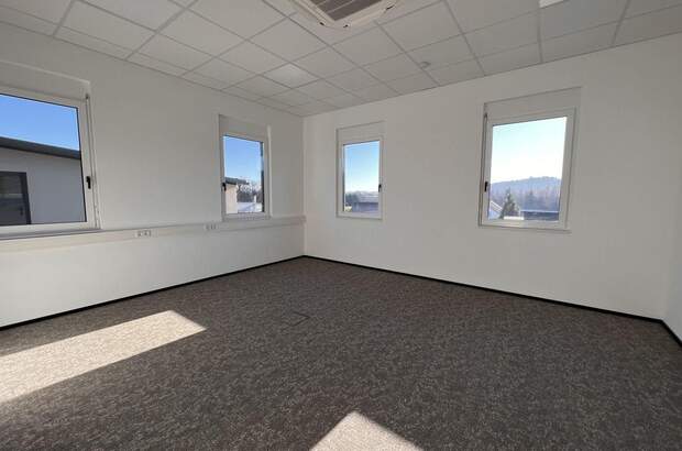 Gewerbeobjekt mieten in 8200 Ludersdorf (Bild 5)