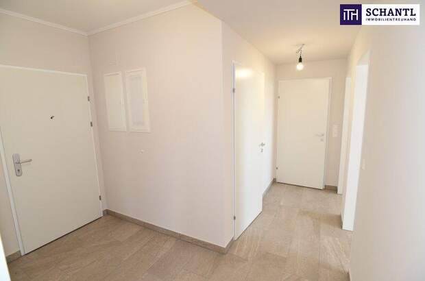 Terrassenwohnung mieten in 2320 Schwechat (Bild 4)