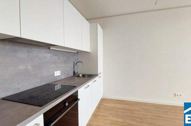 Terrassenwohnung mieten in 1220 Wien (Bild 2)