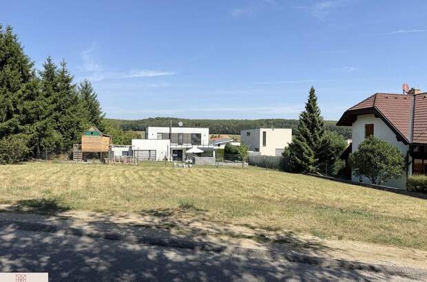Grundstück kaufen in 2500 Siegenfeld (Bild 4)