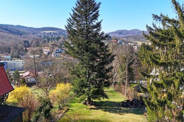 Grundstück kaufen in 3003 Gablitz (Bild 3)