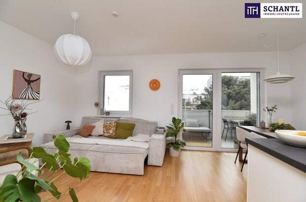 Terrassenwohnung mieten in 8020 Graz (Bild 1)