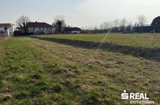 Grundstück kaufen in 4070 Pupping (Bild 3)