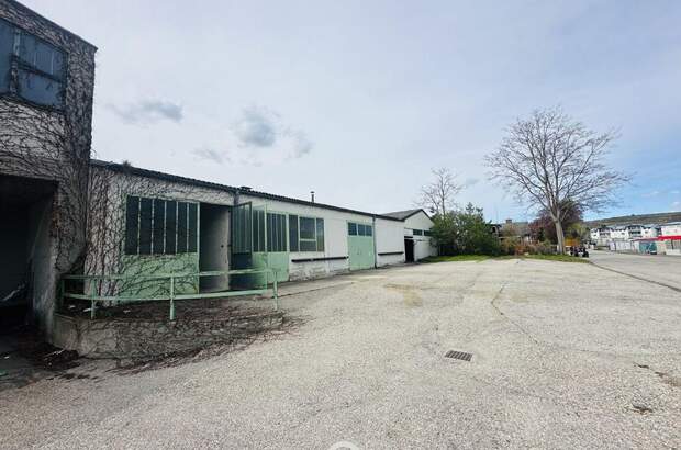 Gewerbeobjekt mieten in 3500 Krems (Bild 5)