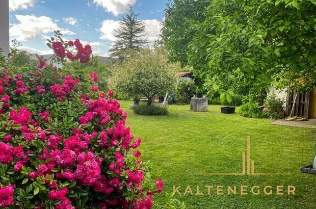 Haus mit Garten kaufen in 2100 Korneuburg (Bild 3)
