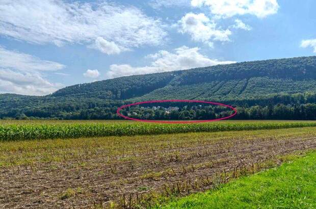 Haus kaufen in 2564 Fahrafeld (Bild 2)