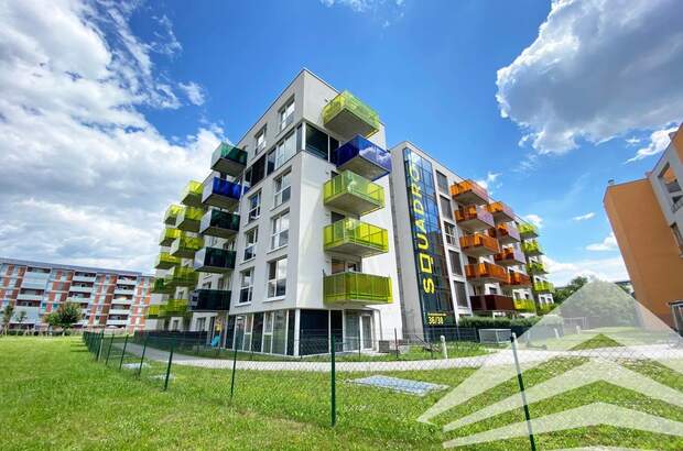 Terrassenwohnung mieten in 4020 Linz (Bild 1)