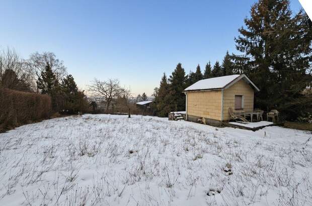 Gewerbeobjekt kaufen in 4060 Leonding (Bild 3)
