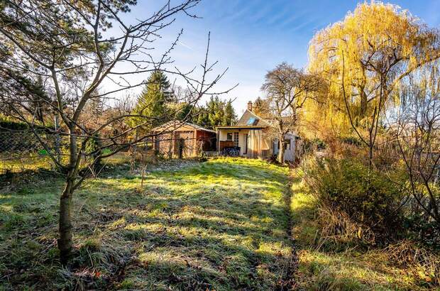 Haus kaufen in 1230 Wien (Bild 3)