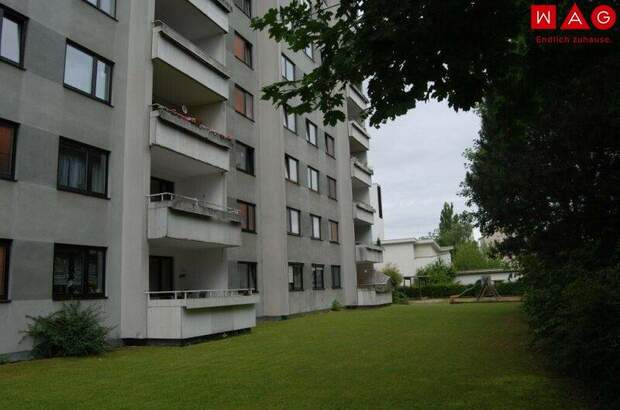 Terrassenwohnung mieten in 4053 Haid (Bild 2)