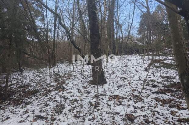 Grundstück kaufen in 3021 Pressbaum