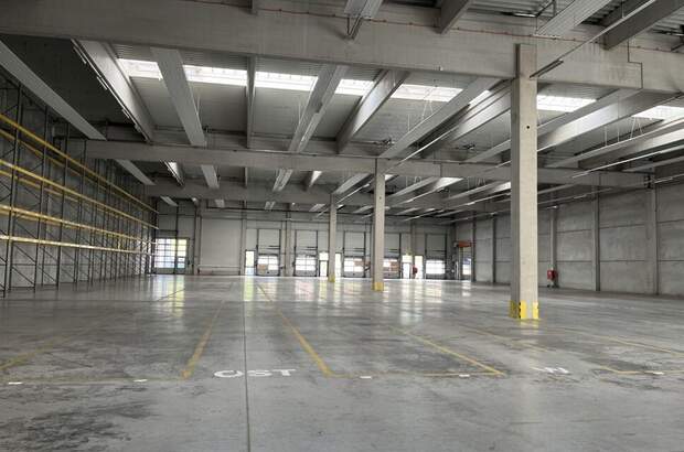 Gewerbeobjekt mieten in 4882 Oberwang (Bild 4)