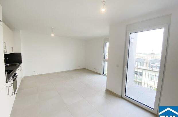 Terrassenwohnung mieten in 1100 Wien (Bild 1)