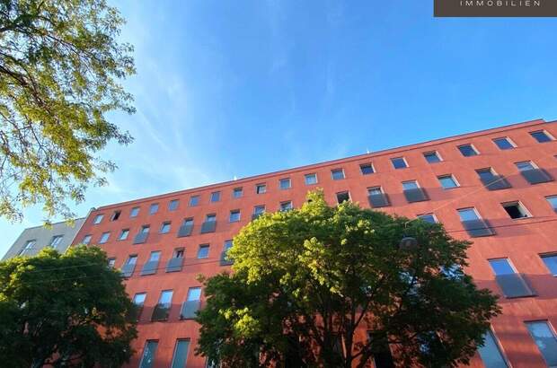 Wohnung mieten in 1100 Wien (Bild 3)