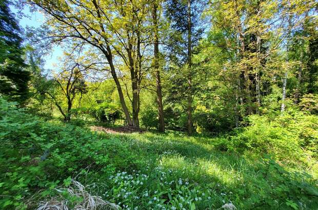 Grundstück kaufen in 3003 Gablitz (Bild 5)