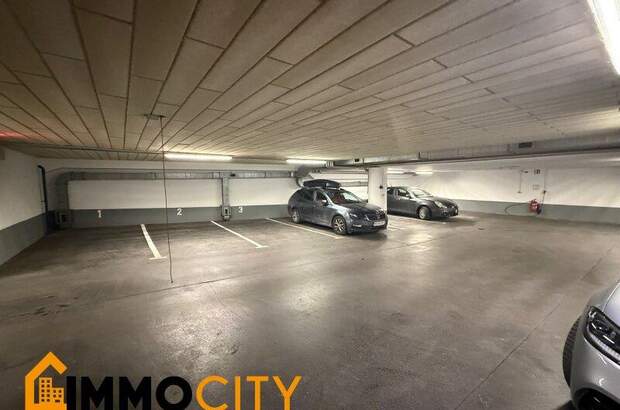 Halle / Lager / Produktion mieten in 1080 Wien (Bild 5)