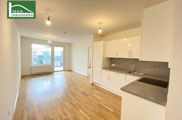 Terrassenwohnung mieten in 1210 Wien (Bild 1)