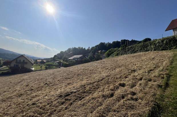 Grundstück kaufen in 8463 Leutschach (Bild 4)