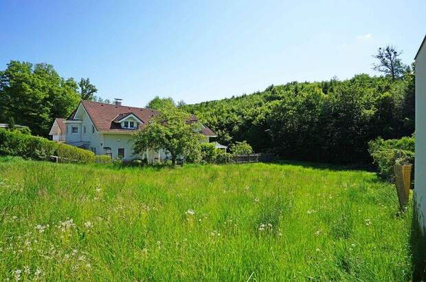 Grundstück kaufen in 2384 Breitenfurt (Bild 1)