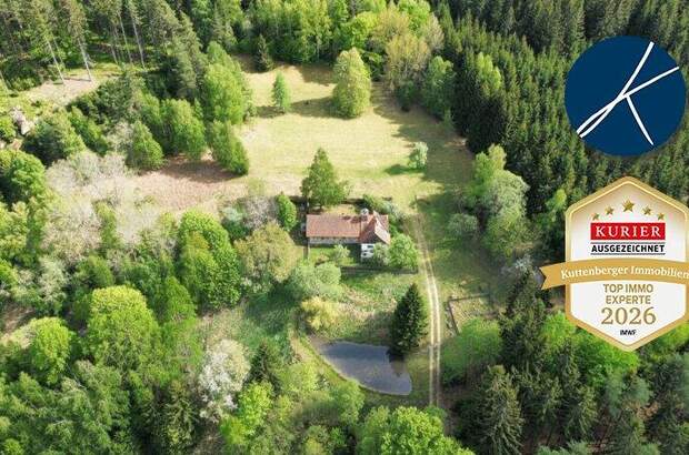 Haus kaufen in 3921 Langschlag (Bild 5)