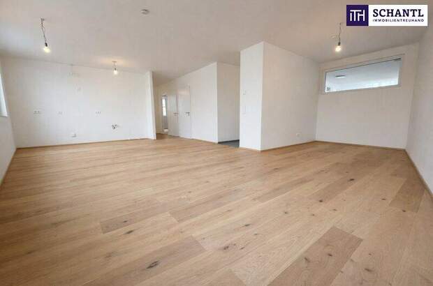 Terrassenwohnung kaufen in 2514 Traiskirchen (Bild 1)