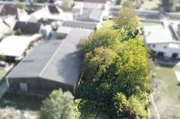 Grundstück kaufen in 3550 Langenlois (Bild 5)