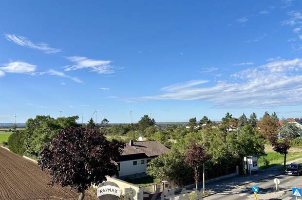 Einfamilienhaus kaufen in 2232 Aderklaa (Bild 2)