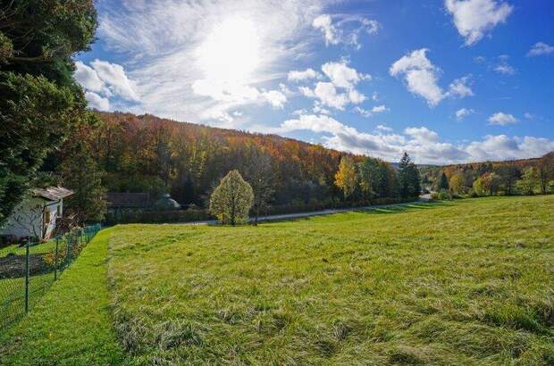 Grundstück kaufen in 3021 Pressbaum (Bild 3)