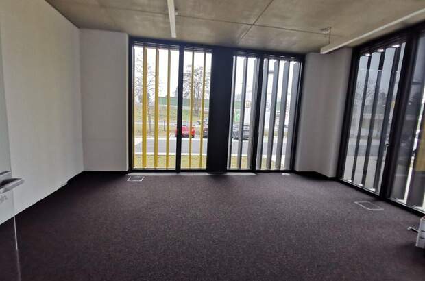 Gewerbeobjekt mieten in 8054 Graz (Bild 5)