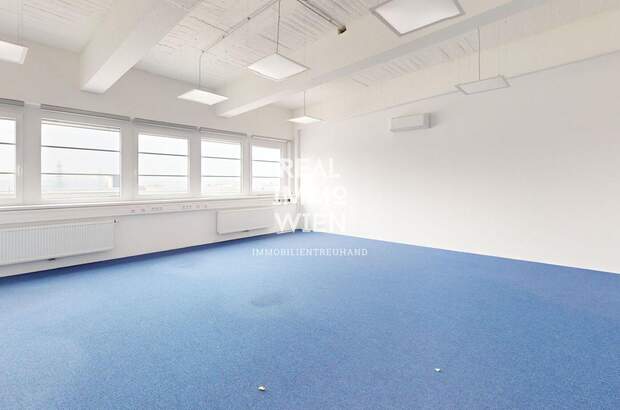 Gewerbeobjekt mieten in 2514 Traiskirchen (Bild 2)