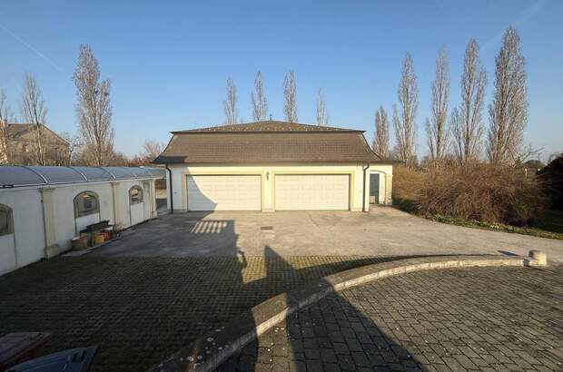 Haus mit Garten kaufen in 2423 Deutsch Jahrndorf (Bild 5)