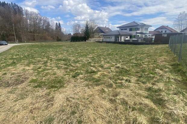 Haus kaufen in 4870 Pfaffing (Bild 4)