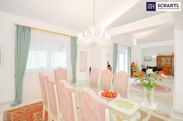 Einfamilienhaus kaufen in 1220 Wien (Bild 1)