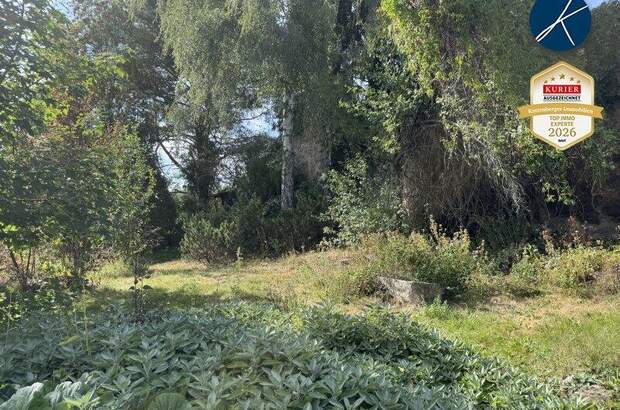 Einfamilienhaus kaufen in 3972 Bad Großpertholz (Bild 2)