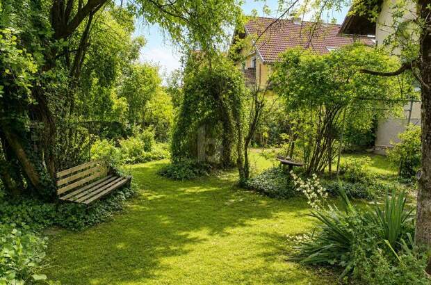 Haus mit Garten kaufen in 5111 Bürmoos (Bild 5)