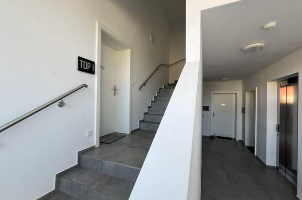 Anlageobjekt kaufen in 4540 Bad Hall (Bild 4)