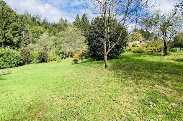 Grundstück kaufen in 8741 Weißkirchen (Bild 3)