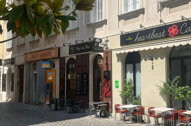 Gewerbeobjekt mieten in 1010 Wien (Bild 1)