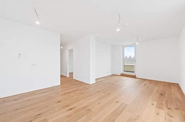 Terrassenwohnung kaufen in 2540 Bad Vöslau (Bild 5)