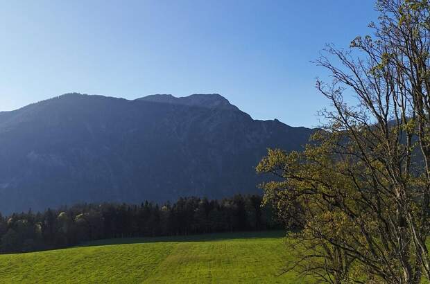 Grundstück kaufen in 6252 Breitenbach (Bild 5)