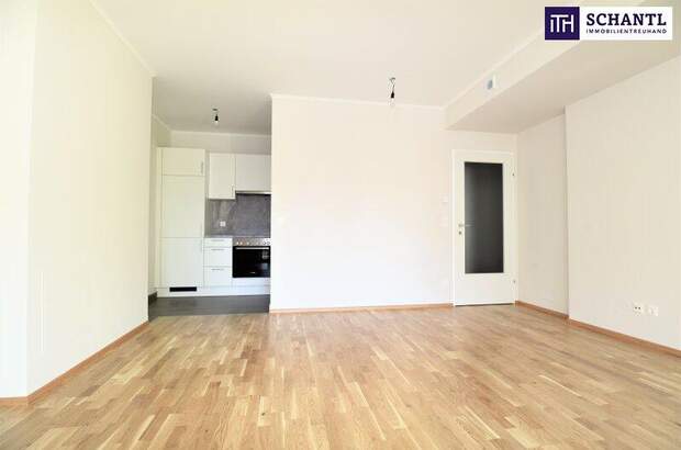 Terrassenwohnung mieten in 2320 Schwechat (Bild 3)